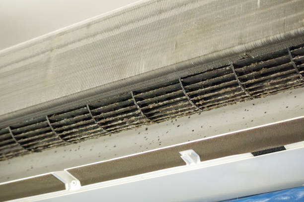 Best Best Air Duct Cleaning Company  in Harrisonville, MO